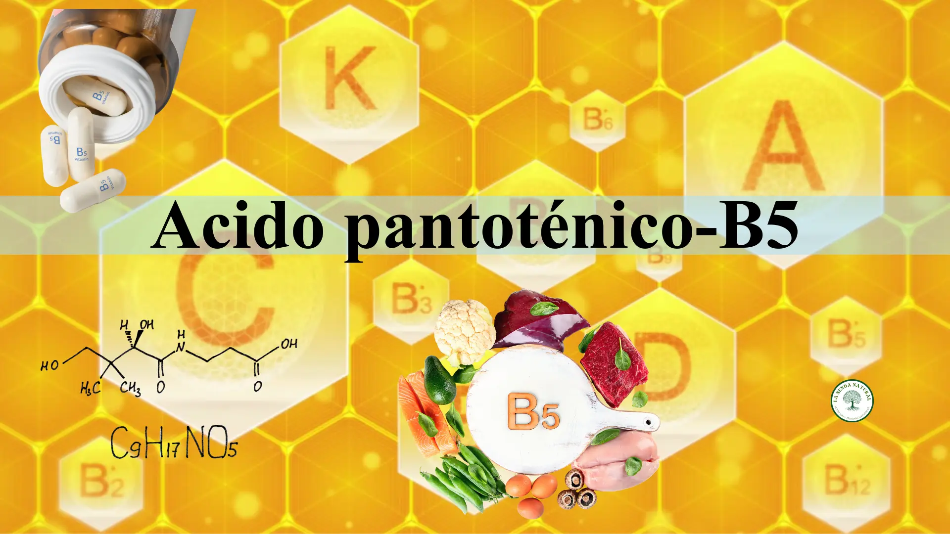 Qué es el ácido pantoténico