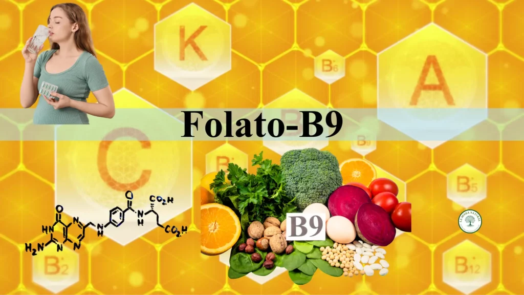 Vitamina B9 folato-acido folico