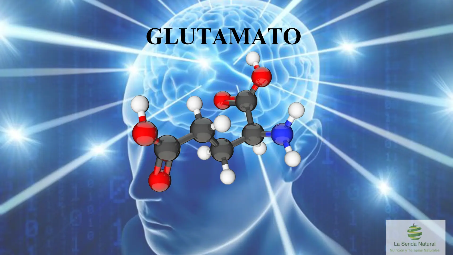 Qué es el glutamato