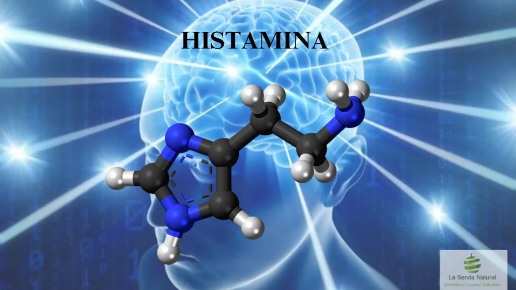 Qué es la histamina