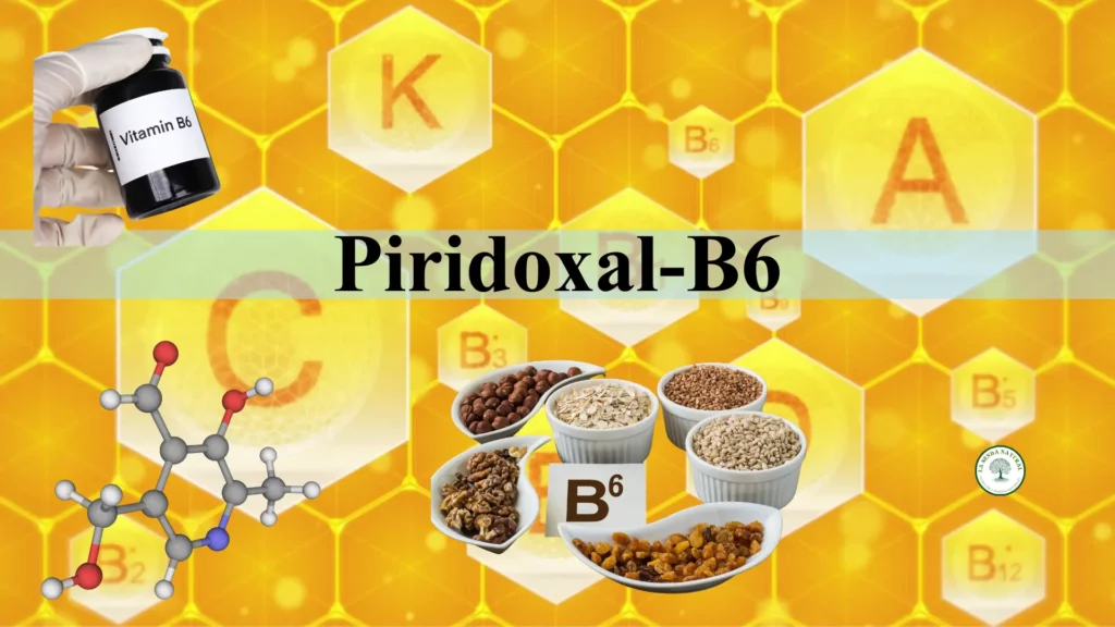 Qué es la vitamina B6