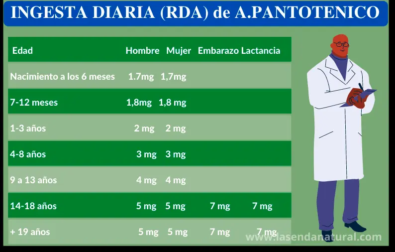 RDA Acido pantoténico (B5)
