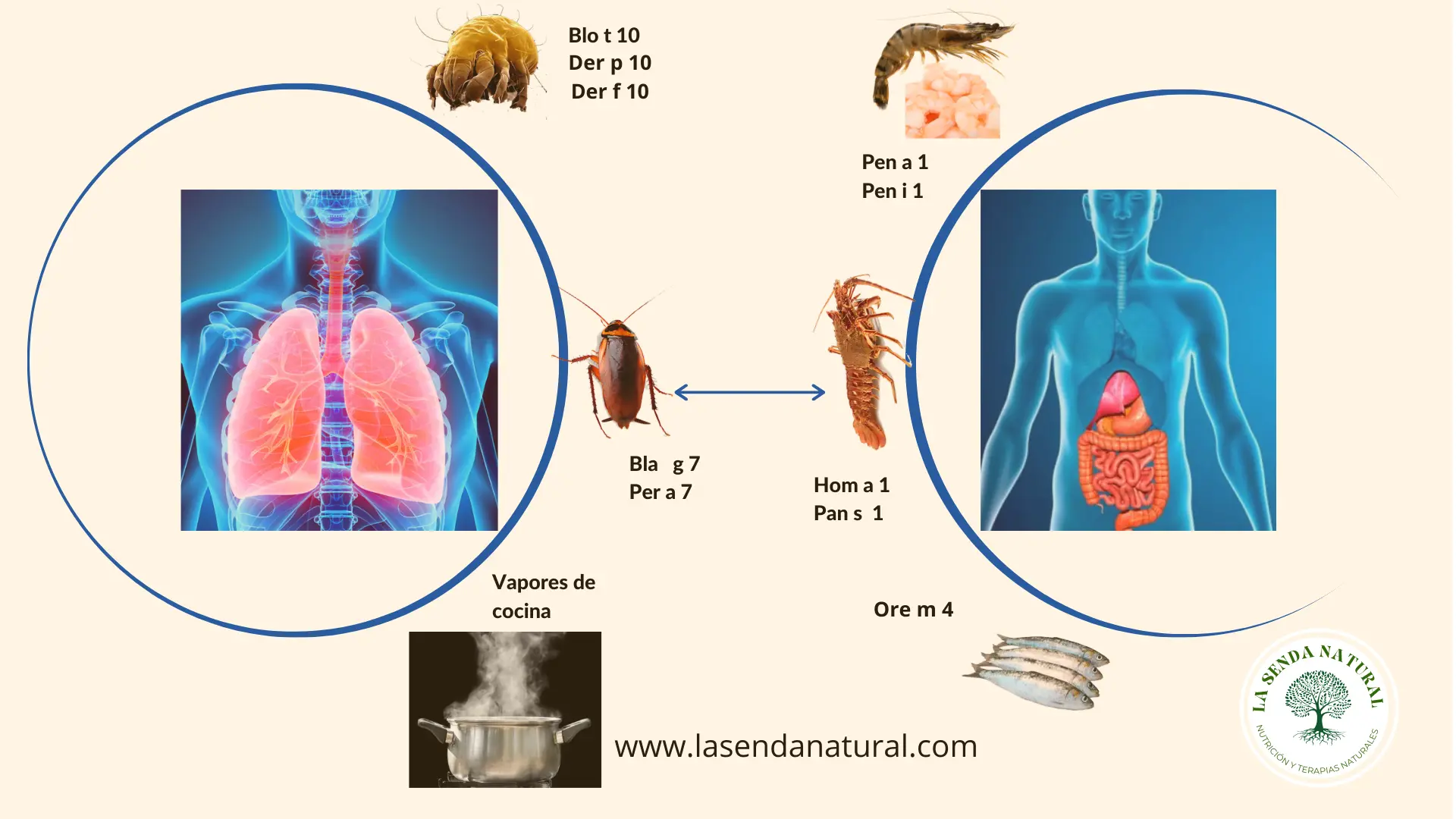Reacciones a alérgenos