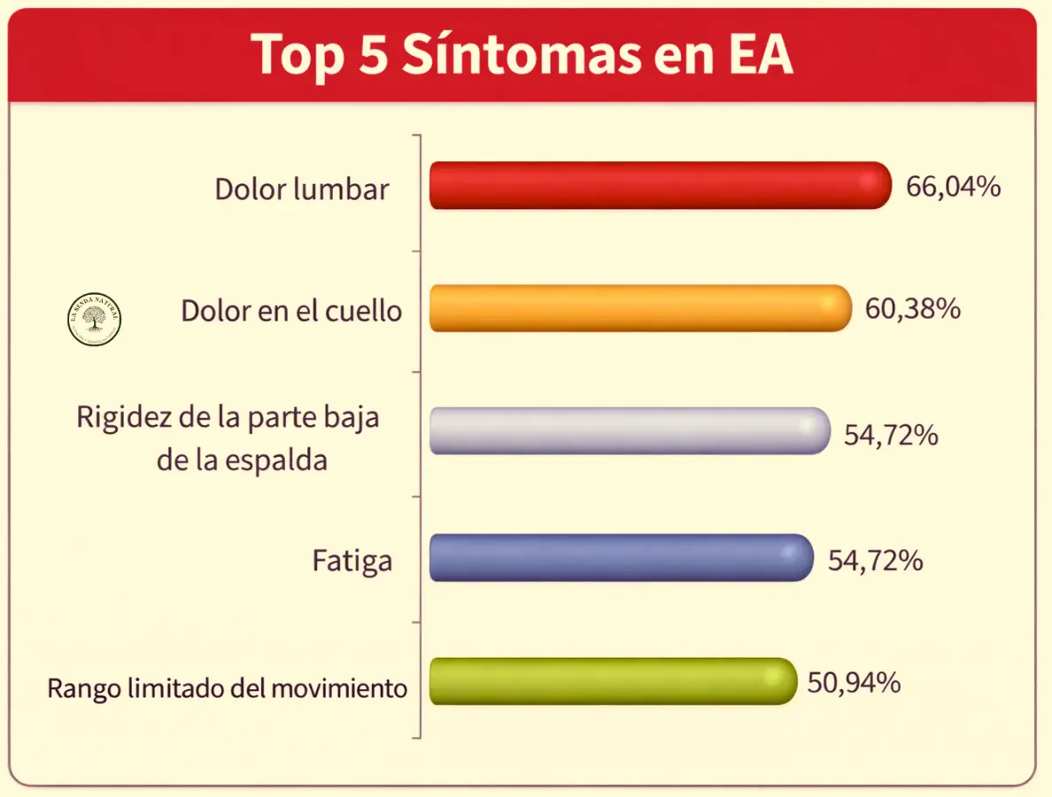Síntomas de la espondilitis