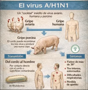 Virus AH1N1