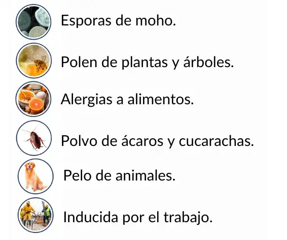 causas de alergias