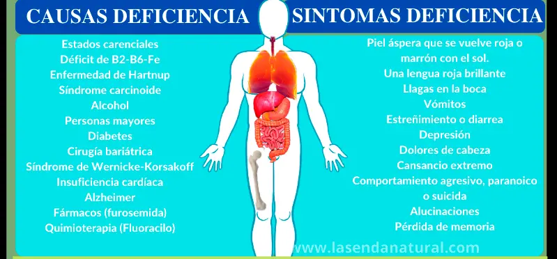 deficiencia de Niacina (B3)