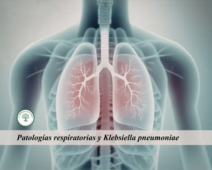 patologías respiratorias por Klebsiella pneumoniae