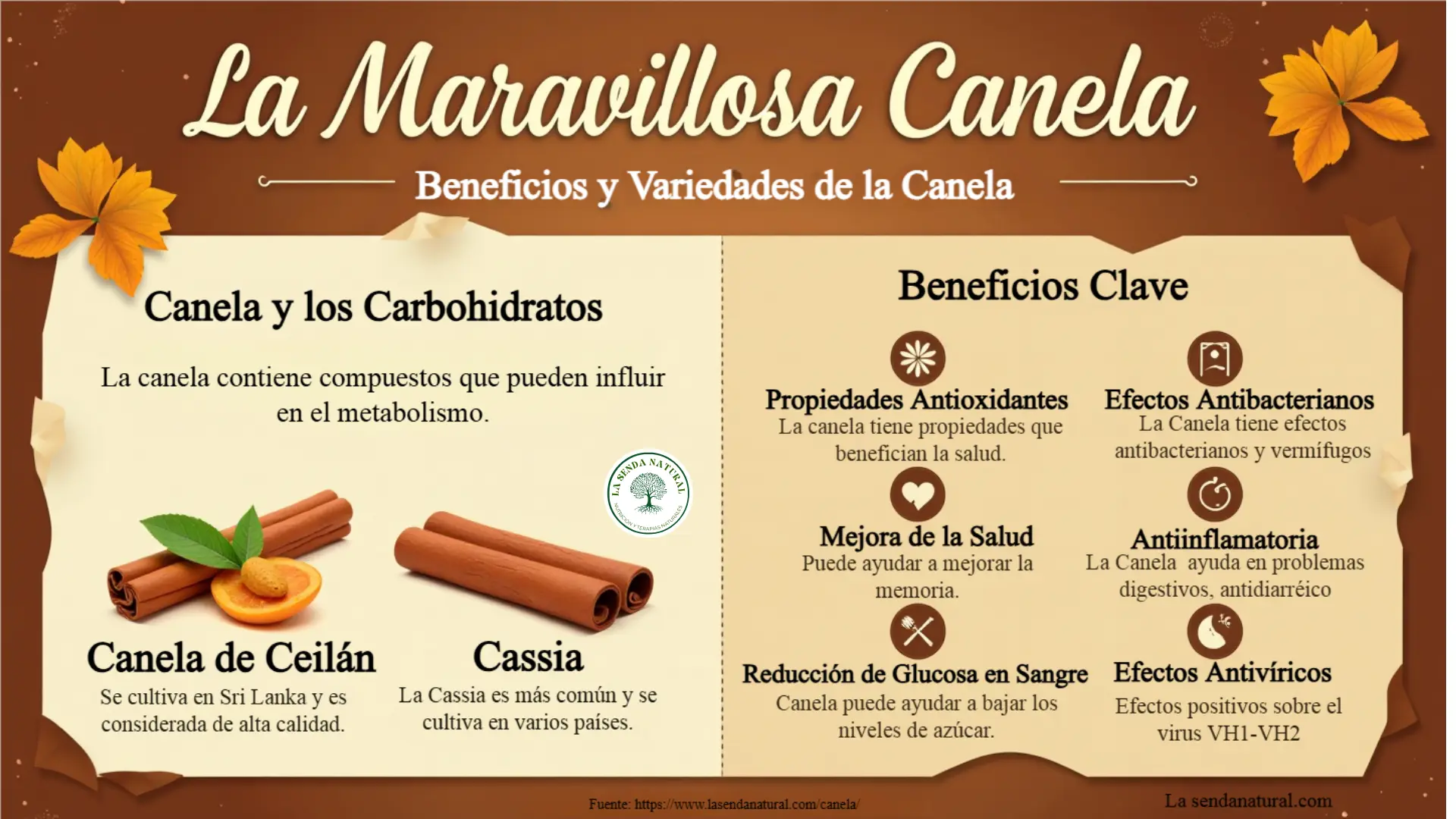 Funciones de la canela