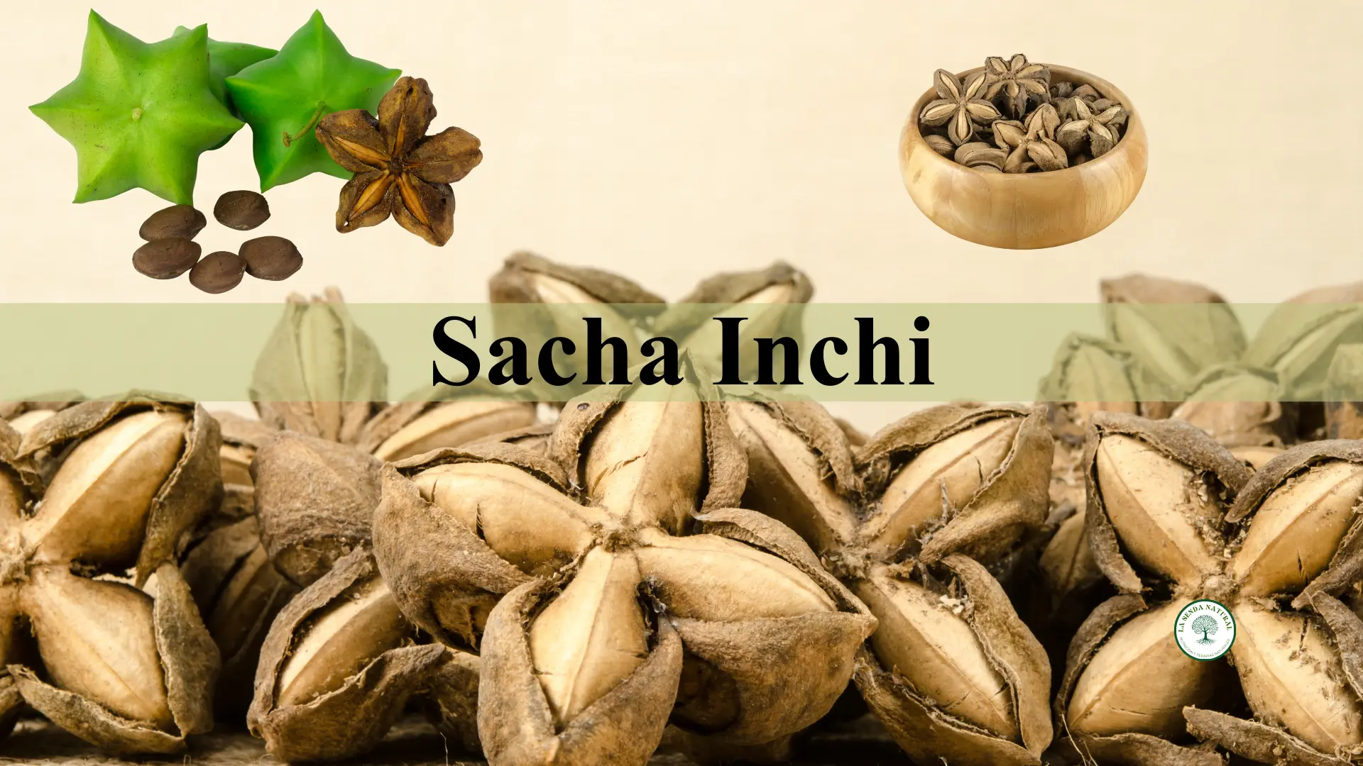 Qué es Sacha Inchi