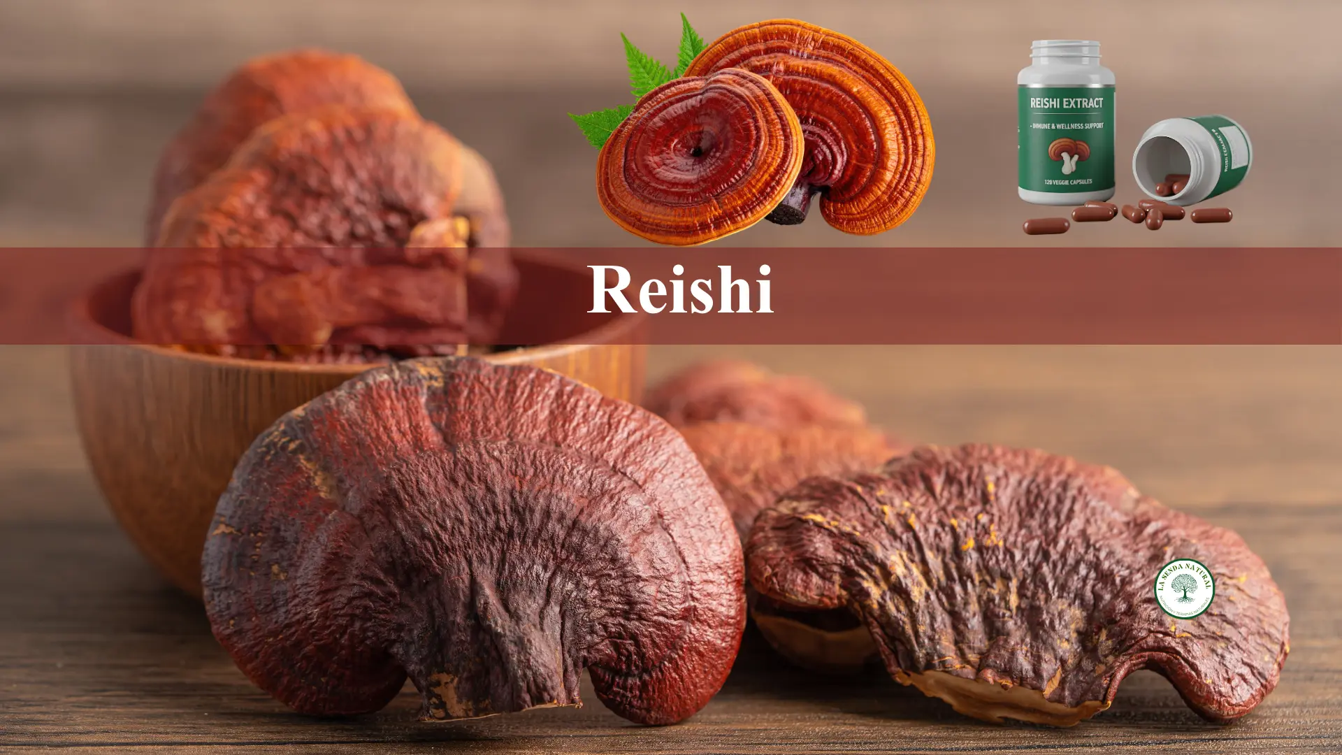 Qué es el reishi