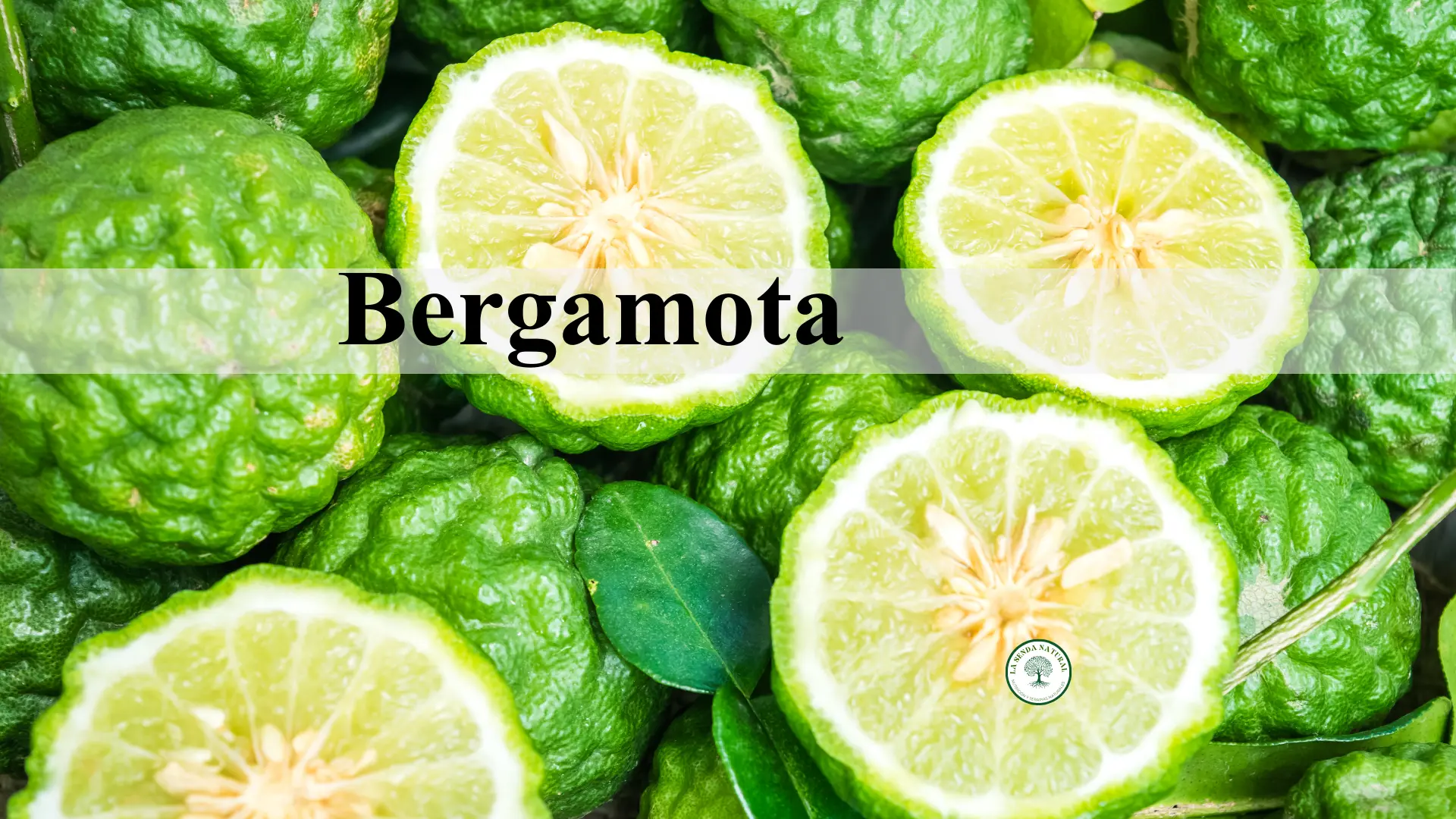 Qué es la bergamota