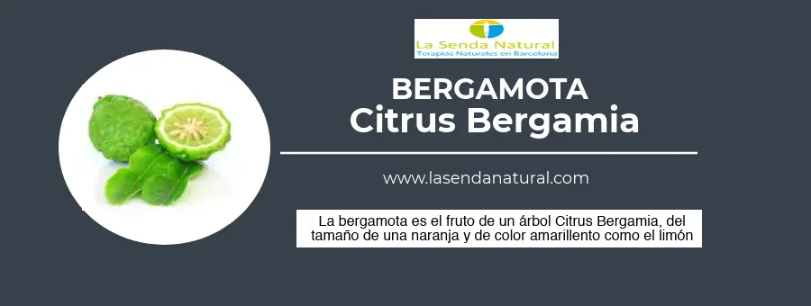 Qué es la bergamota
