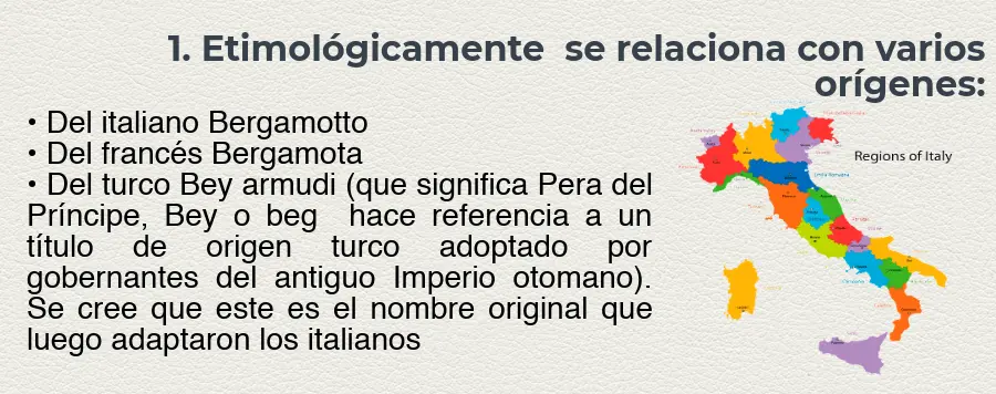 origen de la bergamota